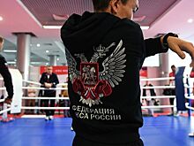 В Федерации бокса России прокомментировали задержание бронзового призера Олимпиады