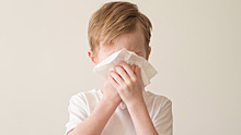 Вирусолог прокомментировал выявление гриппа А у детей из поезда Тюмень — Адлер
