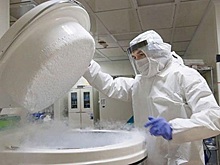 В Государственной думе отреагировали на идею о квоте для солдат на заморозку сперматозоидов
