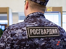 Петербургские росгвардейцы нашли 16-летнего подростка в федеральном розыске