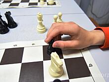 Шахматное объединение ДТДиМ «Белая ладья» выиграло всероссийский грант