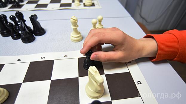 Первоклассники всех школ Вологды занимаются шахматами