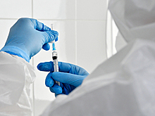 Первую российскую вакцину от коронавируса начали тестировать на пожилых