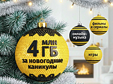 Трафик в сети домашнего интернета Билайна в новогодние каникулы снижался только к раннему утру