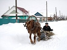 Челябинские оценщики могут остаться без работы
