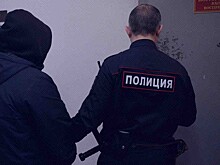 В СПЧ оценили законопроект, по которому при конвоировании разрешат превентивно использовать собак, водометы и электрошокеры