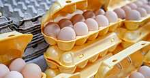 ФАС возбудила четыре дела в отношении производителей яиц