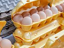 ФАС возбудила четыре дела в отношении производителей яиц