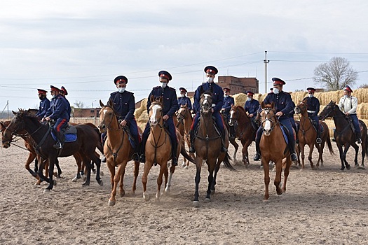 Донские казаки провели сборы конных казачьих взводов