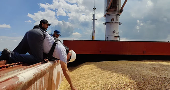 Еще два сухогруза с зерном вышли из портов Украины