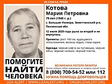 В Пензенской области пропала 79-летняя женщина