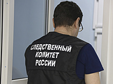 СК расследует обстоятельства инцидента в гимназии Советского