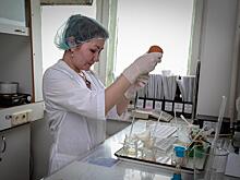 Ветеринарная служба Якутии – обладатель патента за вакцину против сибирской язвы