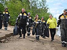 Новокуйбышевская нефтехимическая компания стала победителем всероссийской экологической акции "Зеленая весна — 2025"