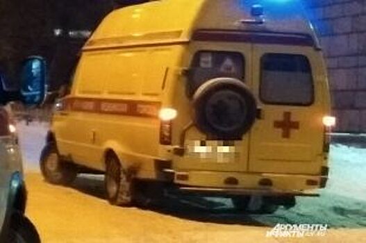 В Пермском крае на трассе в смертельном ДТП погиб 24-летний водитель