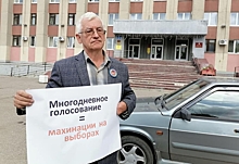 В Ярославле прошли пикеты против многодневного голосования