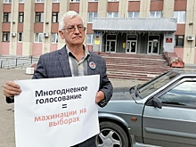 В Ярославле прошли пикеты против многодневного голосования
