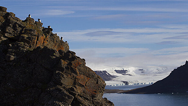 Глава Минприроды: освоение Арктики должно быть экологически безопасным