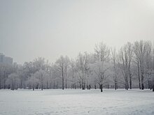 В Кировской области станет холоднее