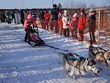 ВТБ пятый год подряд поддержит гонку на собачьих упряжках «Берингия»