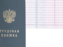 Электронная трудовая книжка защитит права граждан в рамках пенсионной реформы