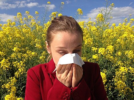 Аллерголог предупредила россиян об агрессивной пыльце