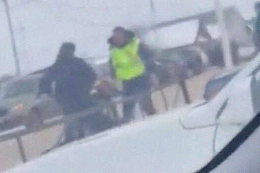 Отец и сын напали на гаишников из-за штрафа за парковку в Башкирии