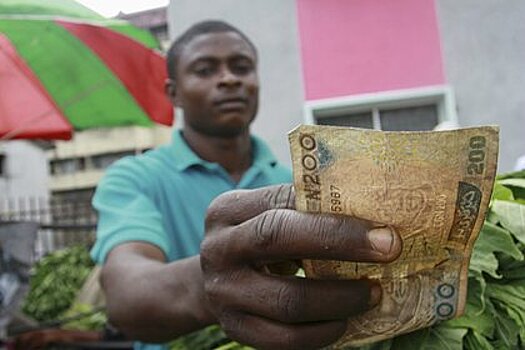 В России собрались переходить на расчеты в африканских валютах