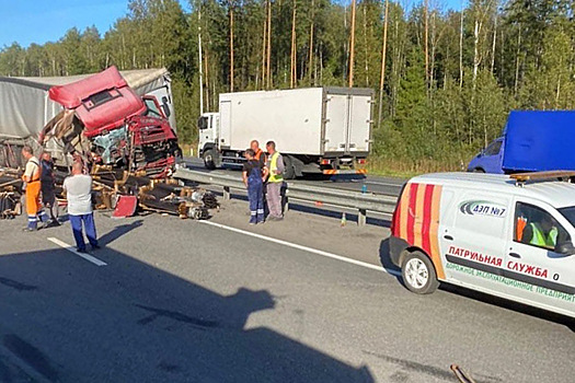 В Камешковском районе столкнулись два грузовика — кабина фуры всмятку
