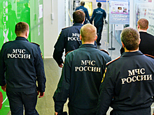 МЧС уточнило данные о погибших при падении автобуса в реку в Петербурге