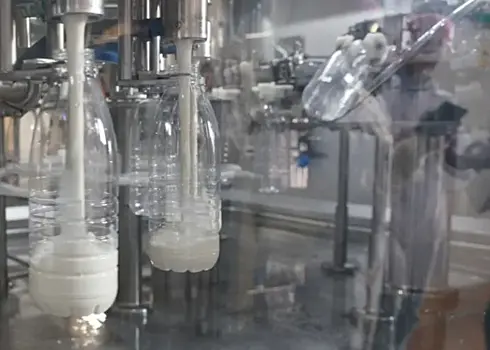 Стало известно, в чем польза молока для здоровья