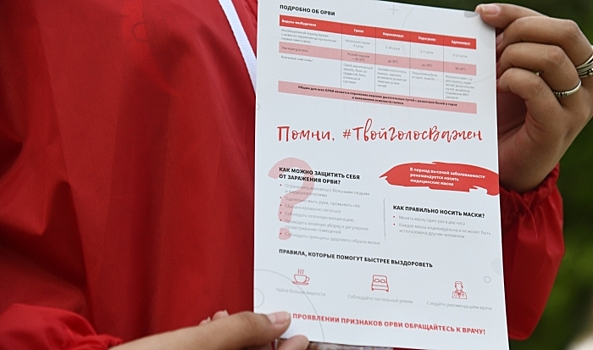 В Волгоградской области начали работу «Волонтеры Конституции»