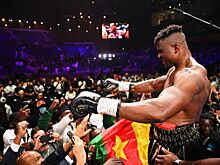 Энтони Джошуа — Фрэнсис Нганну, дата и время боя, где смотреть, кто фаворит, вечер бокса, онлайн-трансляция