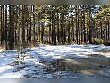 В Приморье ожидаются сильные дожди на фоне продолжающегося половодья