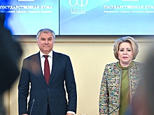 Матвиенко и Володин на встрече обсудили законодательную повестку