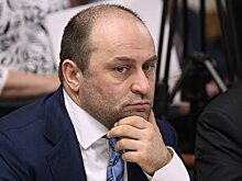 Депутат Свищев о Fan ID: «Нет предпосылок для полной отмены на сегодня. В РФС и РПЛ сказали, что пиво поможет вернуть людей на стадионы»