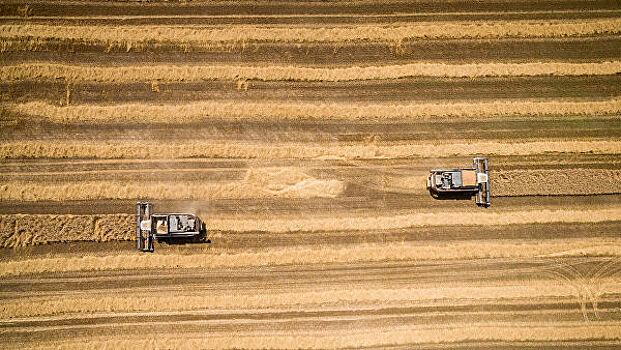 Волгоградская область планирует собрать свыше четырех миллионов тонн зерна