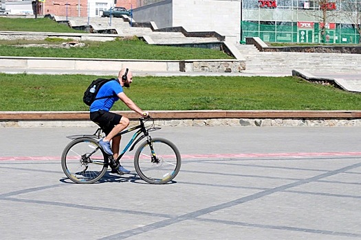 Новосибирск ожидает аномально теплую весну 2025 года