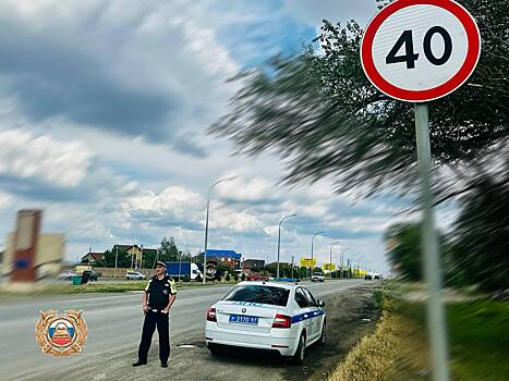 На Дону дорожные инспекторы за сутки выписали 15,4 тыс. штрафов