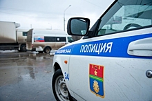 В Волгоградской области водитель применил насилие к инспектору ДПС