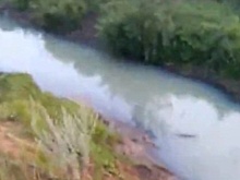 Власти отрицают загрязнение реки отходами маслозавода в Татарстане