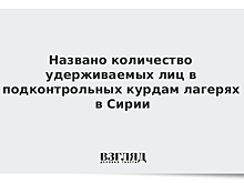 Названо количество удерживаемых лиц в подконтрольных курдам лагерях в Сирии