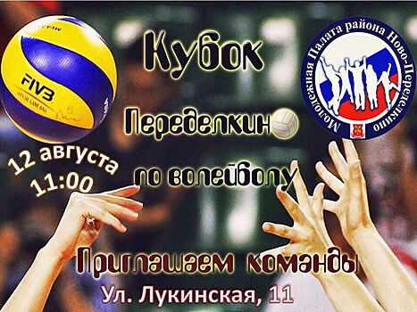 Москвичей приглашают на турнир по волейболу