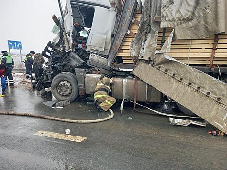 На трассе М-5 под Сызранью столкнулись две фуры