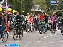 В Калининграде прошёл праздник «День колеса»