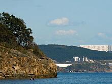 Миллиардер Алексеев выкупил участок на Патрокле под пляж