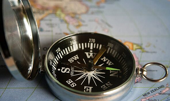 Найдены гены, отвечающие за чувствительность к магнитному полю Земли