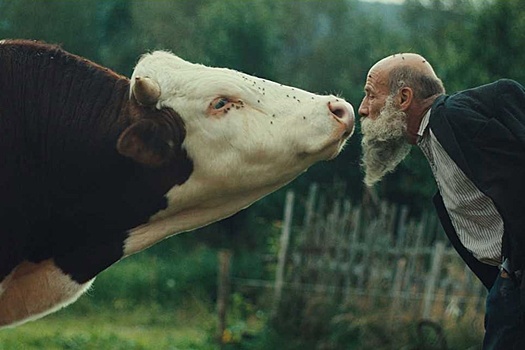 Завершился 59-й кинофестиваль в Карловых Варах