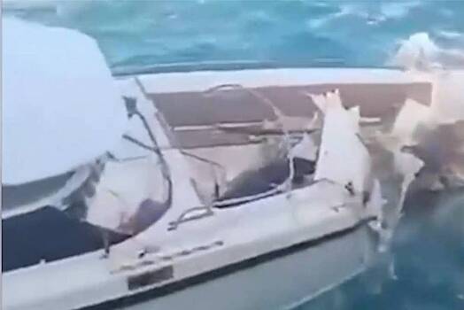 Получившую перелом таза при крушении катера в Таиланде россиянку эвакуируют