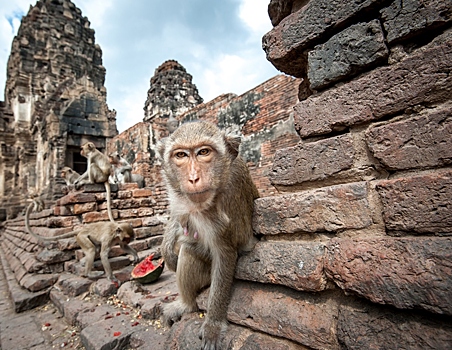 Неизвестный храм десятого века обнаружен в Камбодже